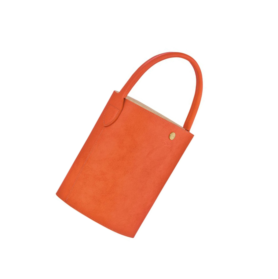 Longchamp Cuir De Russie Handtasche Damen Orange | DE-NVL2748