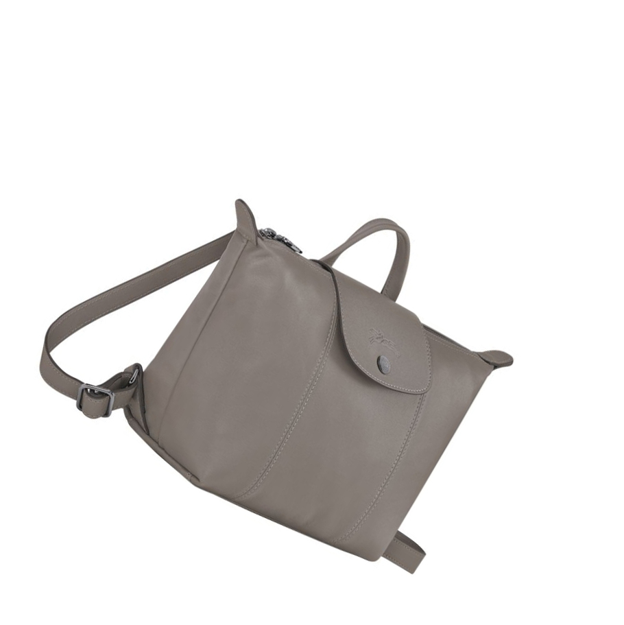 Longchamp Le Pliage Cuir Rucksäcke Damen Grau | DE-VXK0254